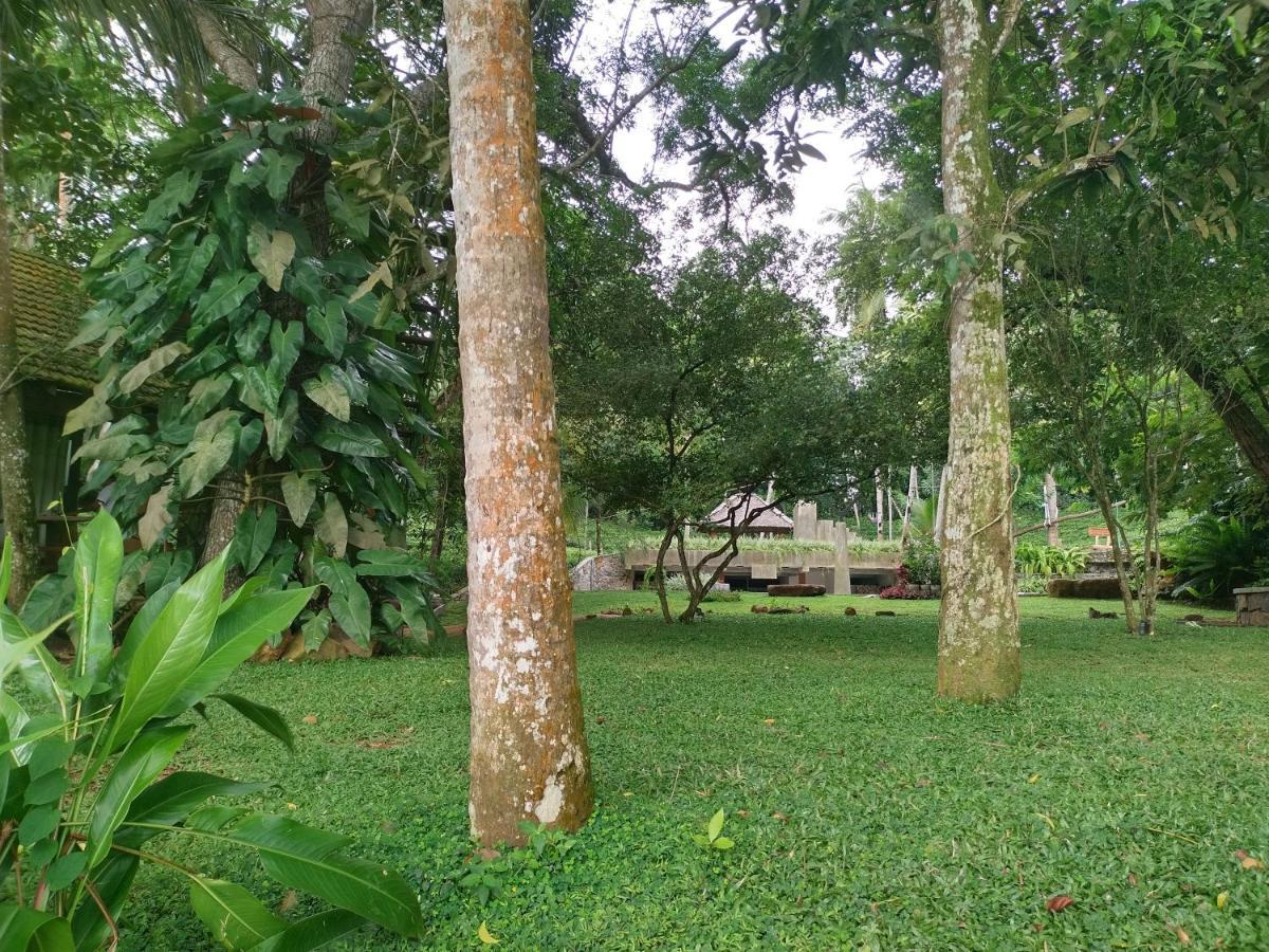 Bed & Breakfast Leisure Land Wanchawala