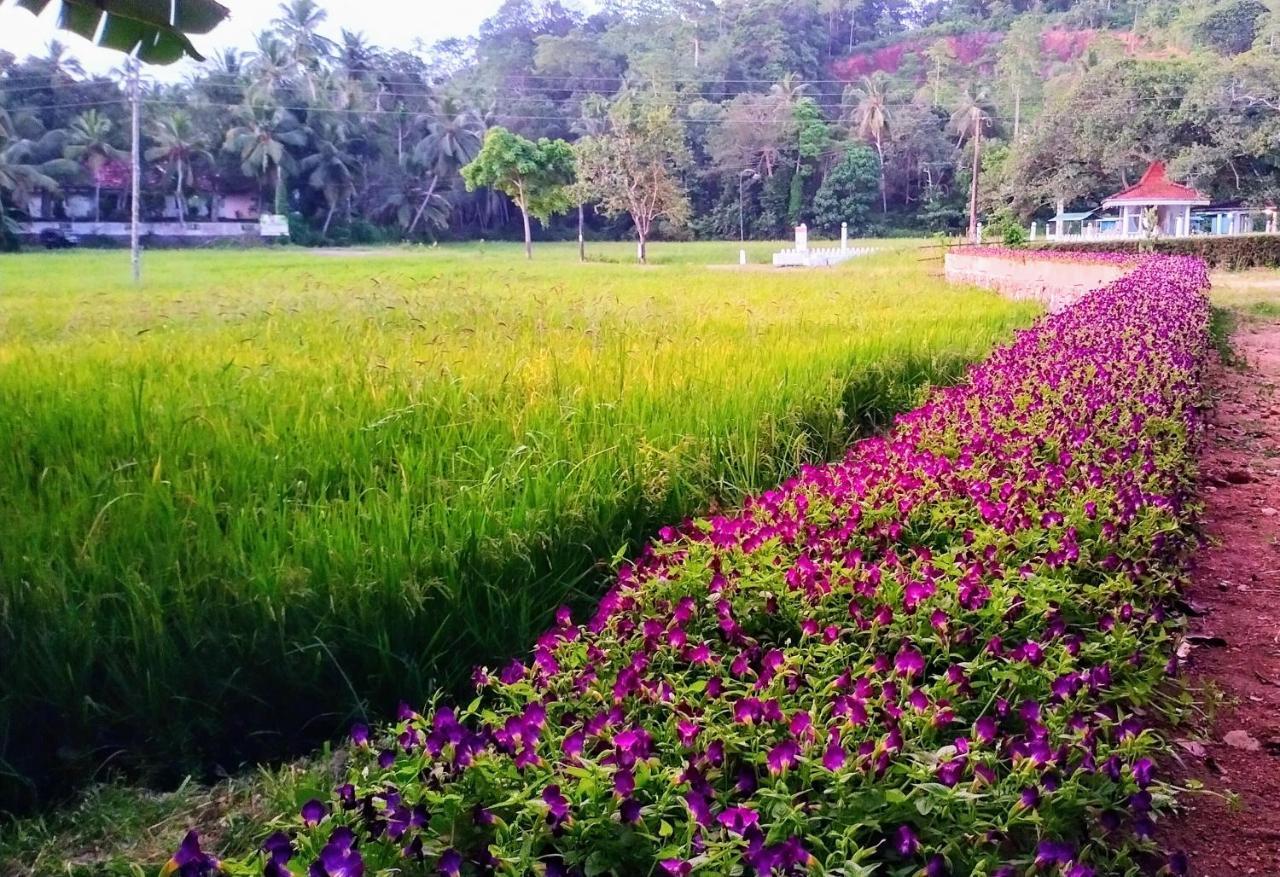 Bed & Breakfast Leisure Land Wanchawala