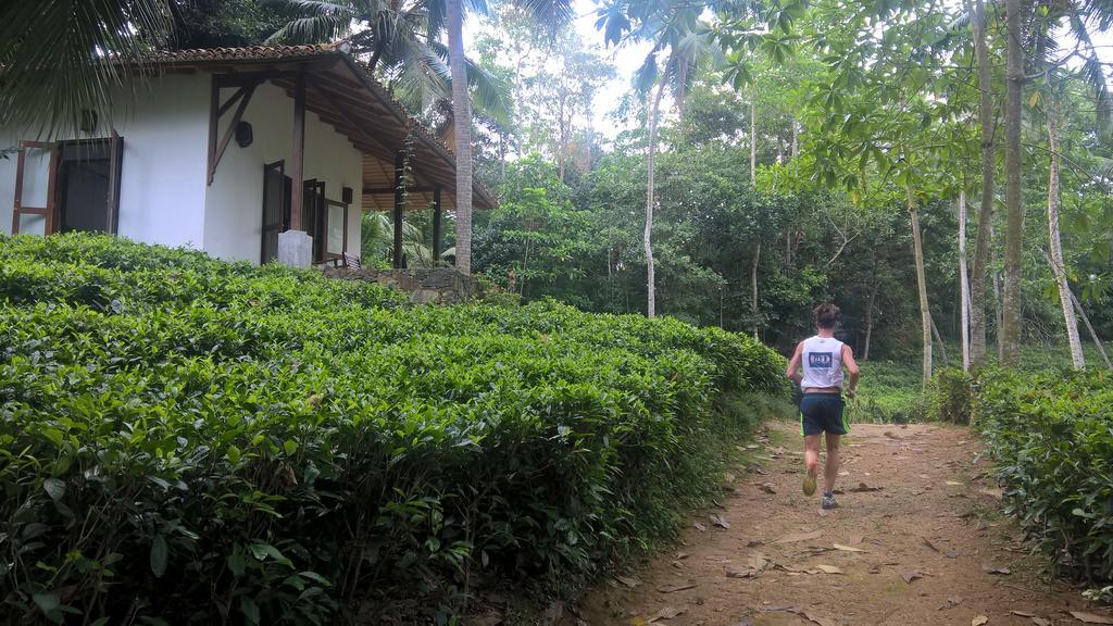 Bed & Breakfast Leisure Land 3*