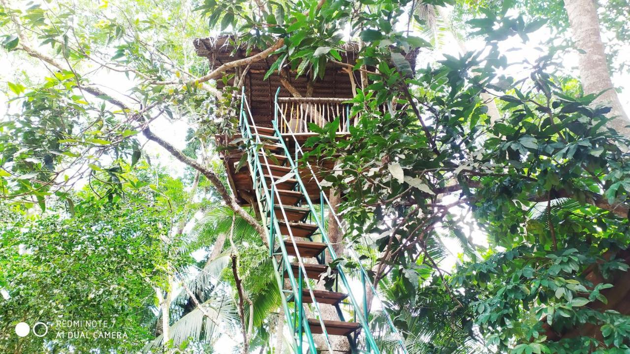 Leisure Land Bed & Breakfast Wanchawala